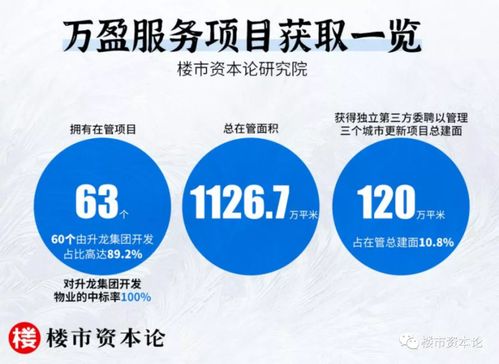 河南五哥万盈服务豪赌IPO,林亿直面2.8亿营收96 负债率